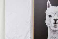 羊驼毛 150gsm 夏季重量羽绒被 - 新西兰制造